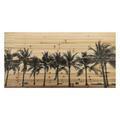 Solid Storage Supplies Fine Art Giclee Printed on Solid Fir Wood Planks - Solitary Beach SO3489714